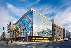 cardiovascular research institute